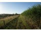 South Kolan QLD 4670