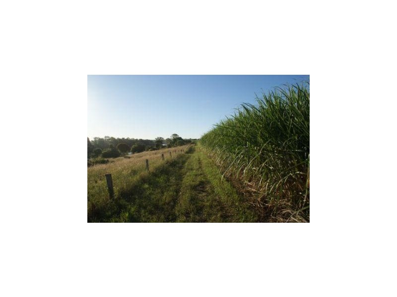 South Kolan QLD 4670