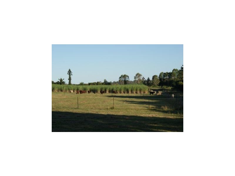 South Kolan QLD 4670