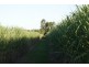 South Kolan QLD 4670