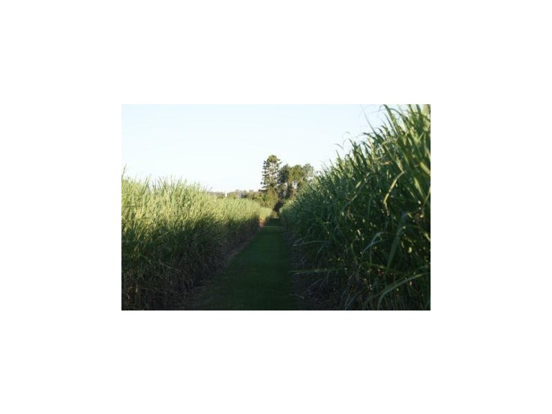 South Kolan QLD 4670