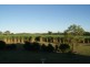 South Kolan QLD 4670