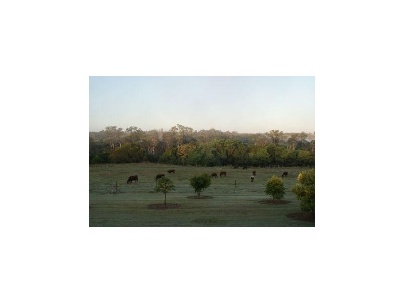 South Kolan QLD 4670