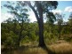 Maroondan QLD 4671