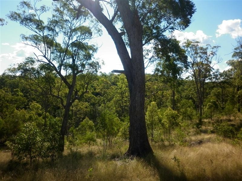 Maroondan QLD 4671