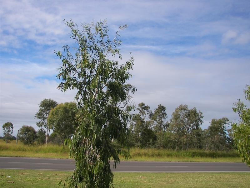 81 Fairymead Road, Bundaberg North QLD 4670