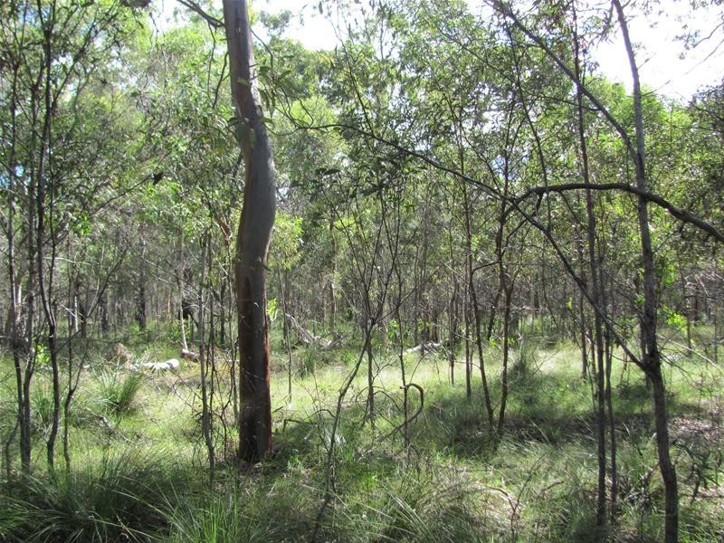 40 Matchbox Road, Deepwater QLD 4674