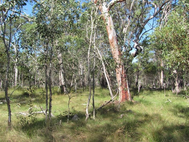 40 Matchbox Road, Deepwater QLD 4674