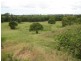 Sharon QLD 4670
