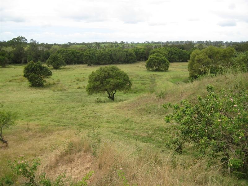 Sharon QLD 4670