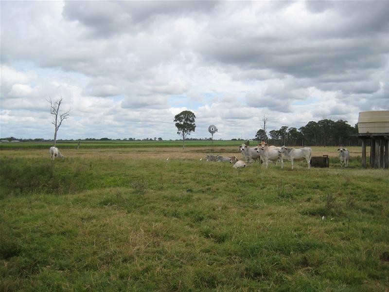 Sharon QLD 4670