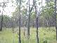 Watalgan QLD 4670