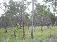 Watalgan QLD 4670