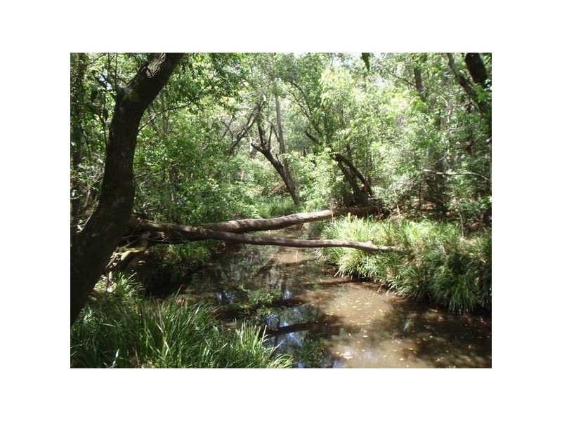 North Gregory QLD 4660