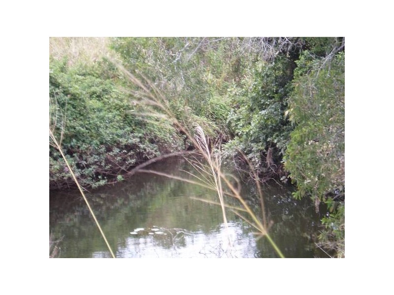 Currajong Farms Road, Wallaville QLD 4671