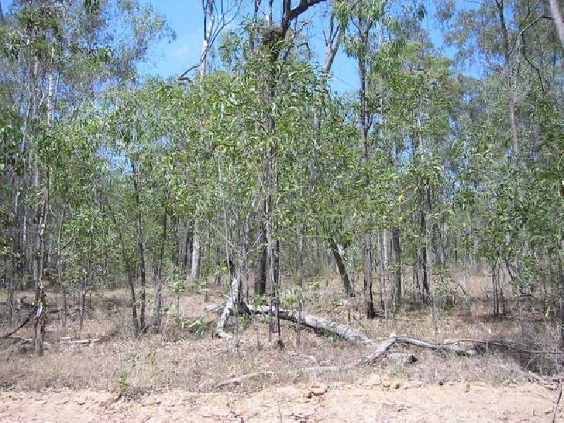 48 Horsecamp Road, Gin Gin QLD 4671