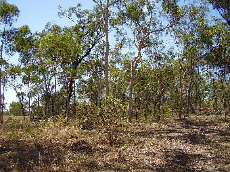 Mount Maria QLD 4674