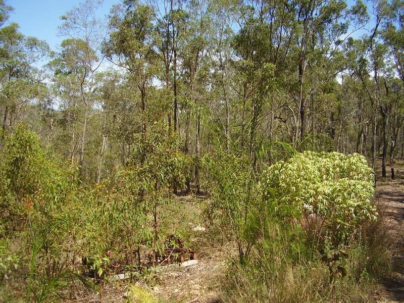 Mount Maria QLD 4674