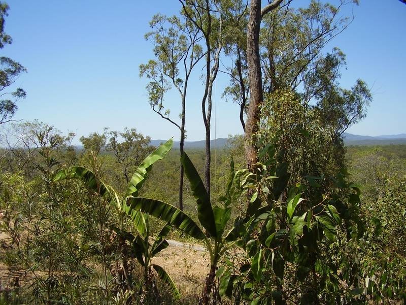 Mount Maria QLD 4674