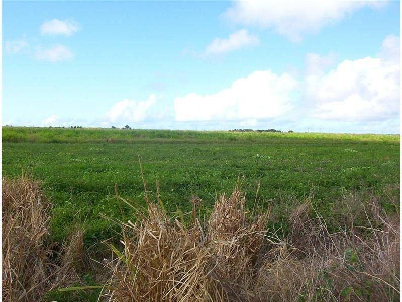 Welcome Creek QLD 4670