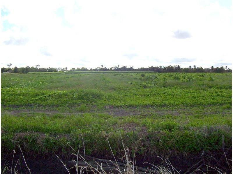 Welcome Creek QLD 4670