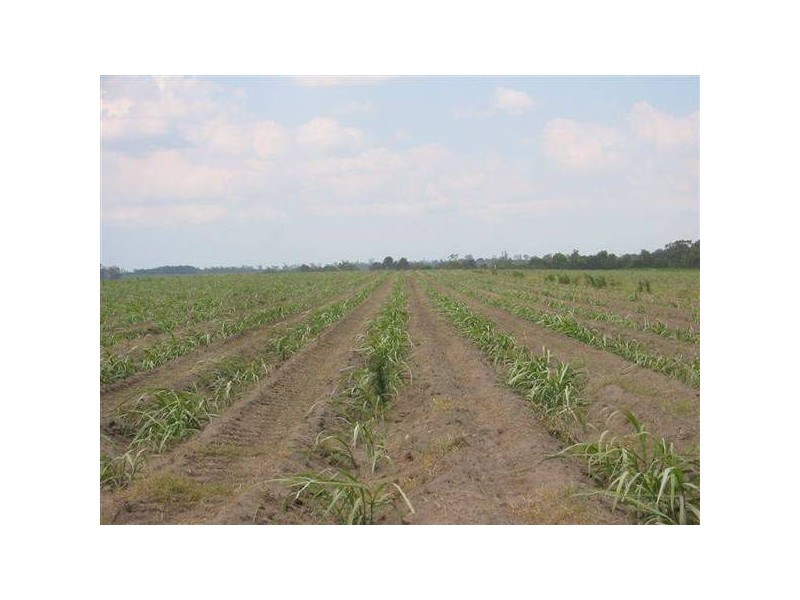 Lot 8 Ten Mile Road, South Kolan QLD 4670