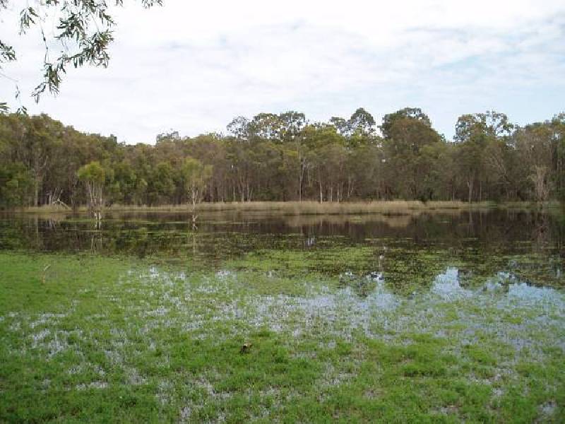 Coast Road, Baffle Creek QLD 4674