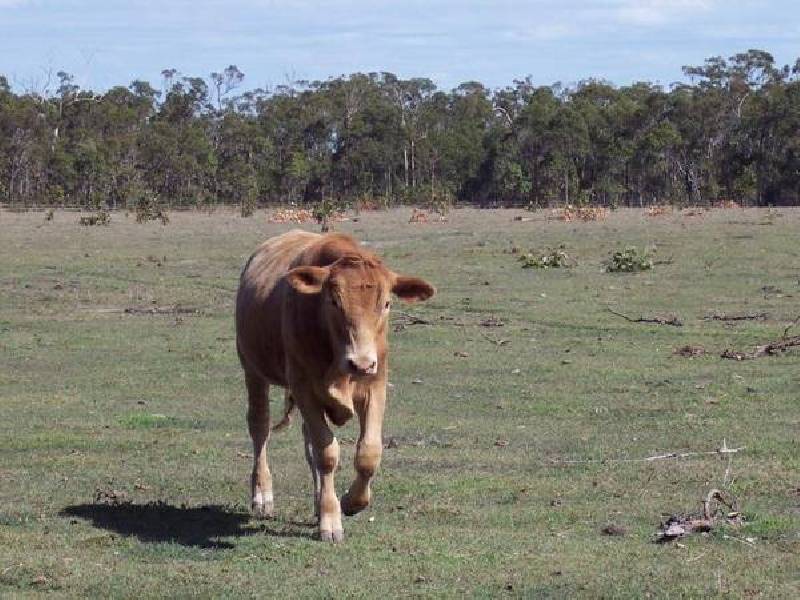 Lot 4 Bundaberg – Gin Gin Road, Sharon QLD 4670