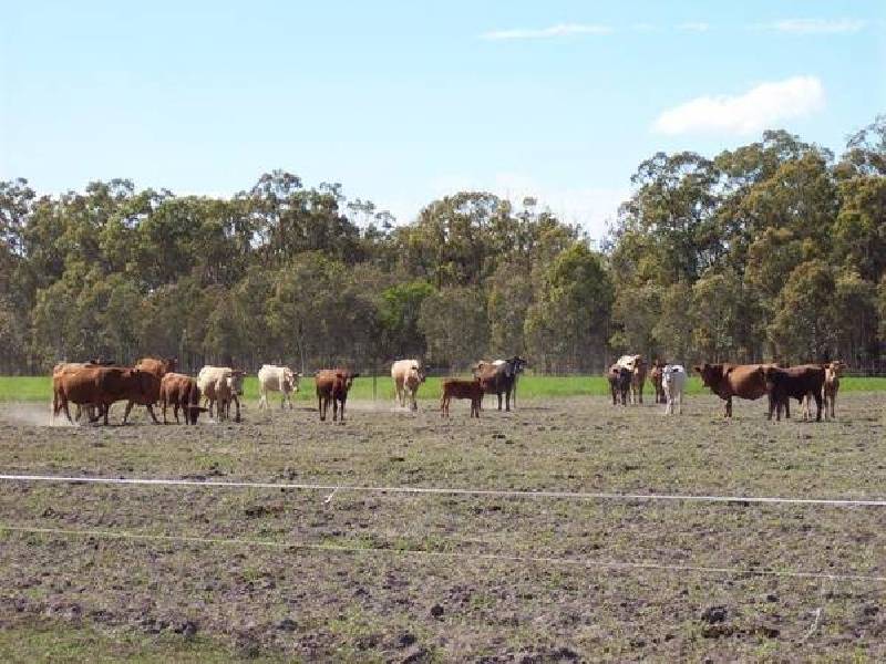 Lot 4 Bundaberg – Gin Gin Road, Sharon QLD 4670