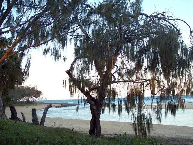 21 Innes Park, Innes Park QLD 4670