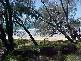 Lot 6 Esplanade, Coonarr QLD 4670