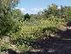 Lot 6 Esplanade, Coonarr QLD 4670
