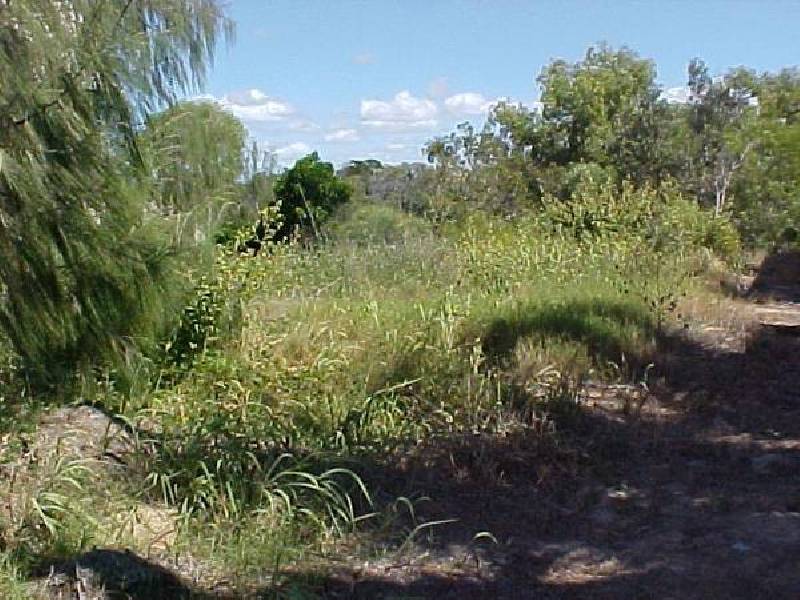 Lot 6 Esplanade, Coonarr QLD 4670