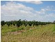 Sharon QLD 4670