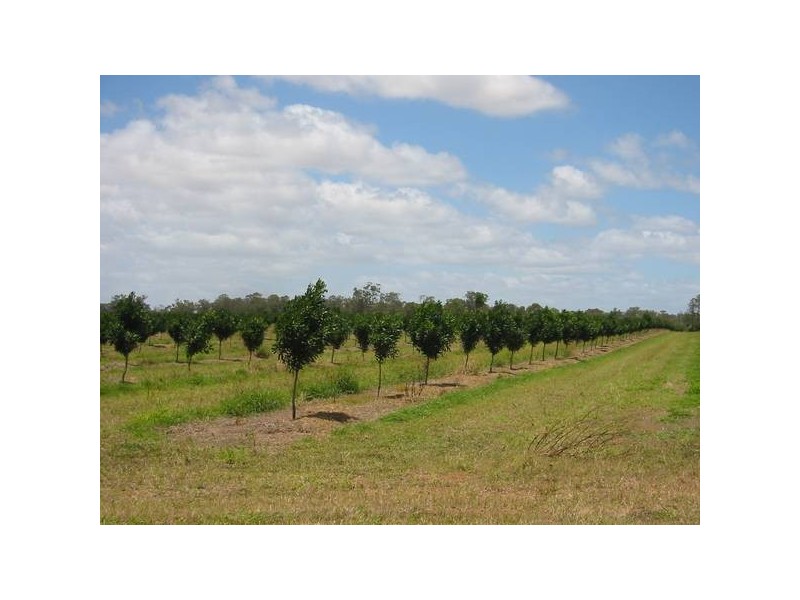Sharon QLD 4670