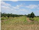 Sharon QLD 4670