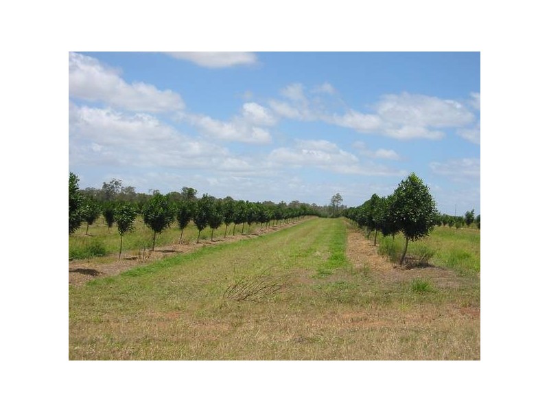 Sharon QLD 4670