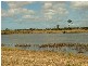 Sharon QLD 4670
