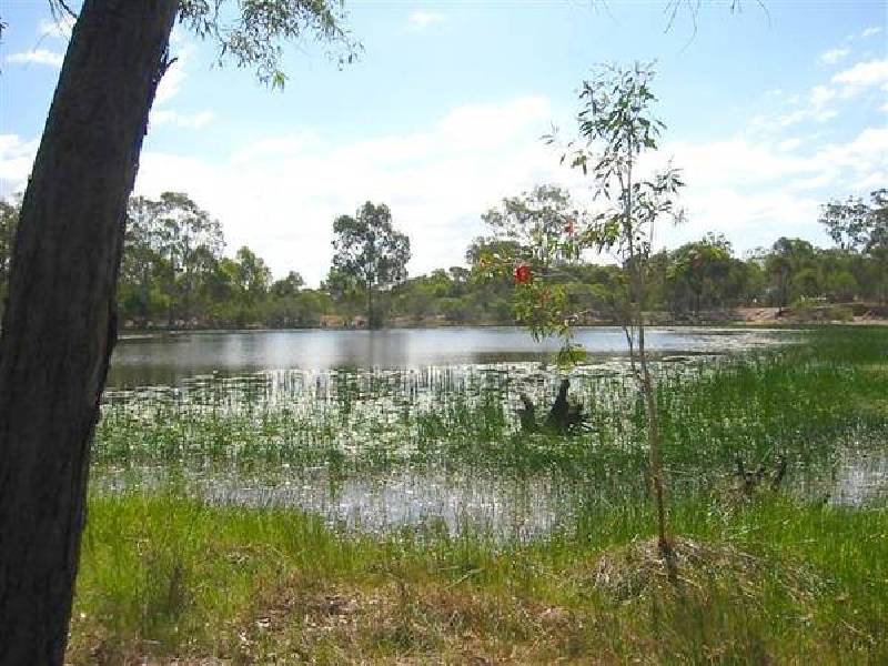 Sharondale Park, Sharon QLD 4670