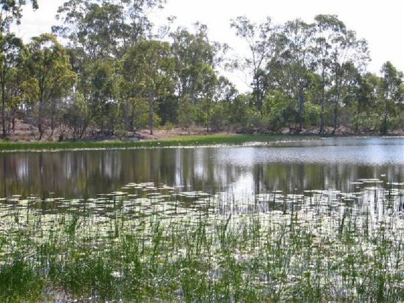 Sharondale Park, Sharon QLD 4670