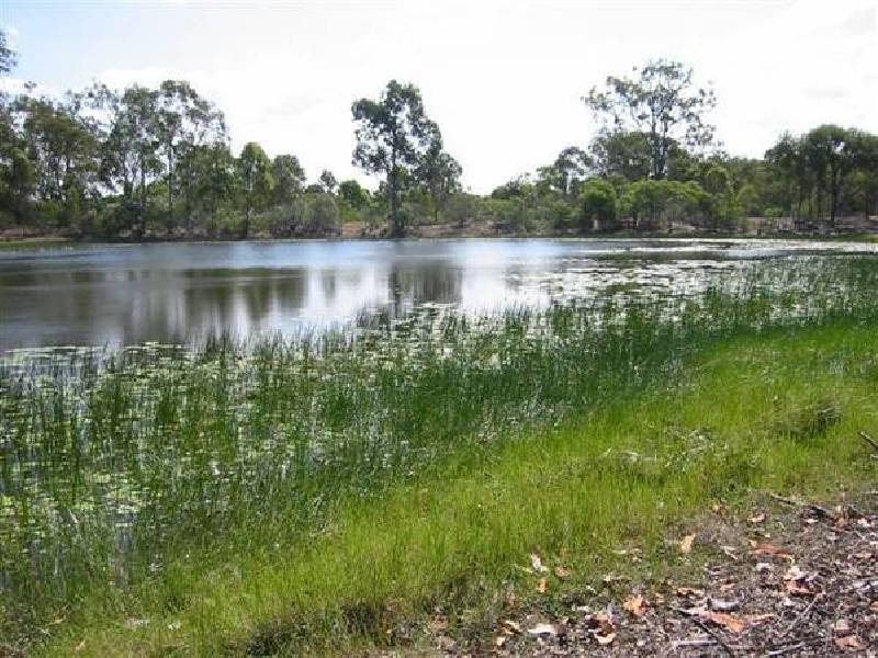 Sharondale Park, Sharon QLD 4670