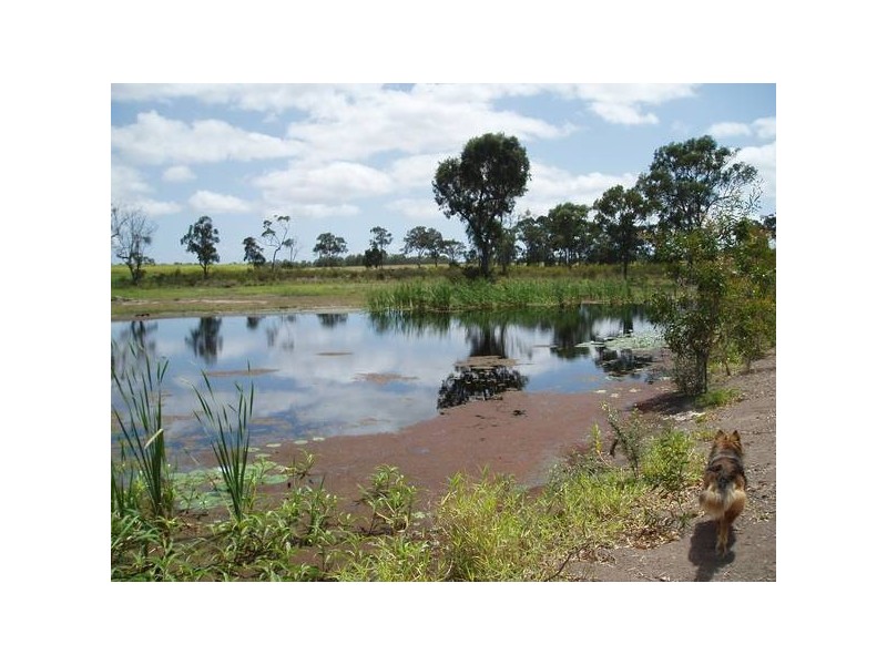 Lot 1 Gin Gin Road, Sharon QLD 4670
