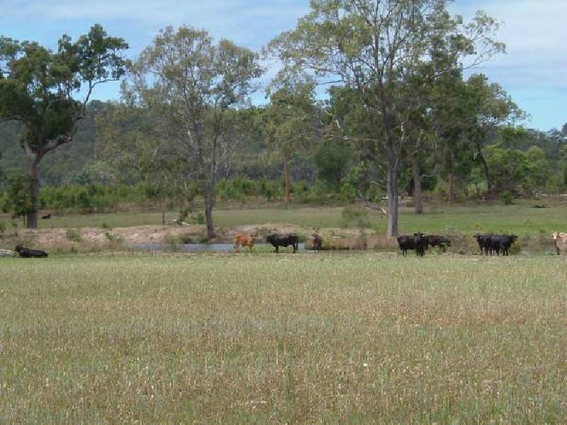 Oyster Creek QLD 4674