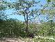 Deepwater QLD 4674