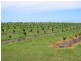 Bundaberg QLD 4670