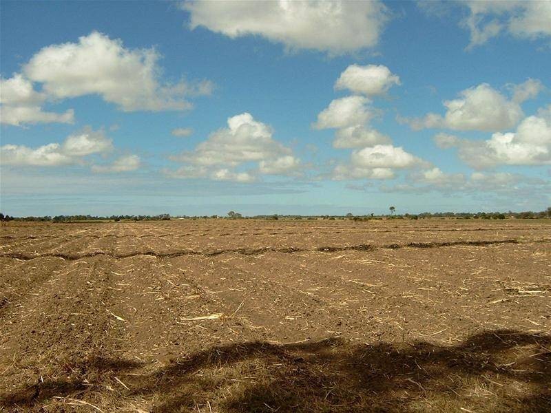 Bundaberg QLD 4670