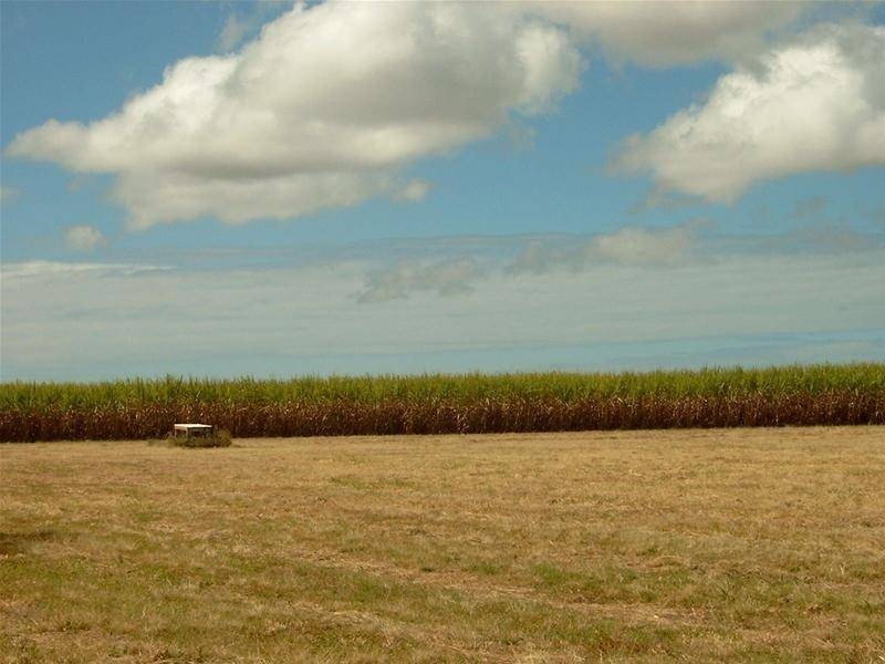 Bundaberg QLD 4670