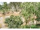 47 Bishop Drive, Bundaberg QLD 4670