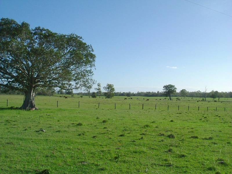 Baffle Creek QLD 4674