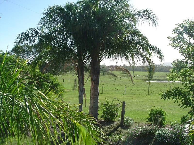 Baffle Creek QLD 4674